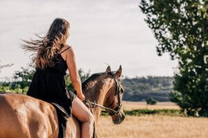 Excursiones a caballo